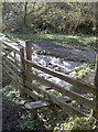 A hop over the stile and then the stream in TA23 0SX
