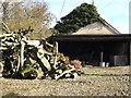 Wood Shed & Wood Pile at Shelfanger Hall in Shelfanger