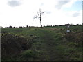 Footpath to Druids Lane in IP22 2DP
