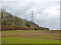 Power line by Wild Duck Copse in GU34 3HL