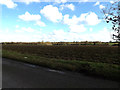 Farmland off the B1077 Winfarthing Road in IP22 2DP