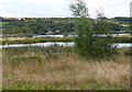 Middleton Lakes RSPB reserve in B77 1LX