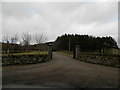 Driveway to Fothringham Hill House in DD8 2JP