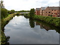 River Tame at Hemlingford Mill in B78 2DF