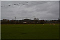 Bridgwater : Grassy Field in TA7 8PF