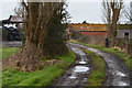 Bridgwater : Farm Track in TA6 4XG