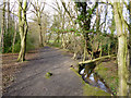 Path by Prittle Brook, Dodds Grove in SS7 2UG