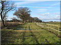 Footpath near Paddock, Galleywood \ West Hanningfield in CM2 8UD