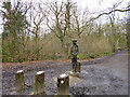 Statue of woodsman, Belfairs Great Wood in SS9 3RB