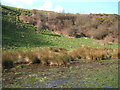 Boggy grazing, Cober Hill in YO13 0AG