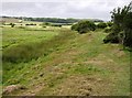 Flood bank on Brading Marsh in PO36 0QD