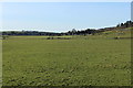 Farmland at Minnigaff in DG8 6PD