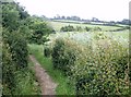 Footpath to Bembridge Mill in PO35 5SQ