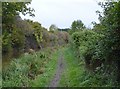 Towpath, Kennet & Avon Canal in SN8 3JT