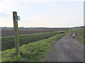 Footpath from Inglenook Farm to Nursery Plantation, Rainford in WA11 8DT