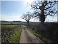 Road from Otterton to Colliver Cross in EX9 7HZ