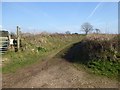 Lea Lane, a track south of Otterton in EX9 7HZ