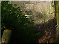 Unnamed pond with islands seen from bridge over stream in RH13 6AG