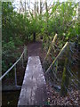 Footbridge over stream in Park Wood in RH13 6AG