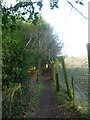 Enclosed footpath going towards Horsham in RH13 6RR