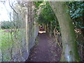 Enclosed footpath going to St Leonards Park in RH13 6RR