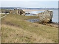 Coast east of Trow Point in NE33 3HS