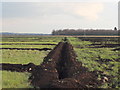 Field drainage work south of Dairy Farm Road in WA11 7JH