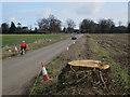 Large tree removed by Middle Road in NR13 5BH