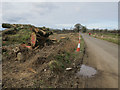 Felled trees by Middle Road in NR13 5BH
