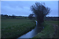 Sedgemoor : Small Stream in TA5 2RR