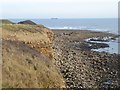 Cliffs and stony shore at Whitburn in SR6 7DY