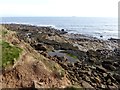 Rocky shoreline at Souter Point in SR6 7DY