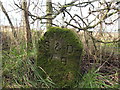 Stone marker on Gaw Hill (S&D WB) in L39 7HA
