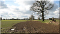 Crop fields south of View Farm in NR13 4TR