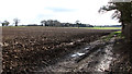Track into fields by Willow Farm in NR13 4EY