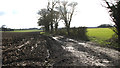 Muddy track into fields in NR13 4EY