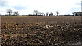 Ploughed field by Willow Farm in NR13 4EY