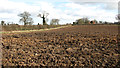 Ploughed field south of Norwich Road in NR13 4EY