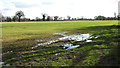 Puddle in cereal crop field in NR13 4EY