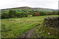 Field below White Knowl Farm in SK23 6DP