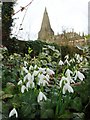 St Peter's Church, Hope and snowdrops in S33 6SE