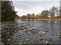 Boulder shore on the River Garry in PH18 5TE