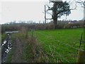 Bridleway reaches Two Mile Ash Road in RH13 9GP
