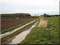 Footpath to Normanby in DN15 8RL