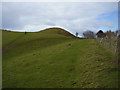 Tumulus on thorncombe Beacon in DT6 6HY