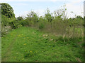 Scrubby field by Gun's Lane in Histon