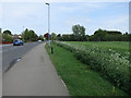 Cyclepath by Cottenham Road in CB24 9HN