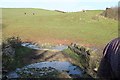 Pasture by the Conygre Brook in Farmborough