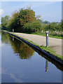 Towpath and water points near New Marton, Shropshire in SY10 7BW