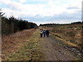 Heol y Coedwigoedd / Forestry Track in CF43 3EY